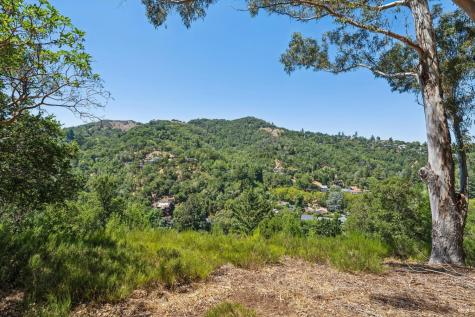 10 Fawn Ridge Fairfax CA 94930