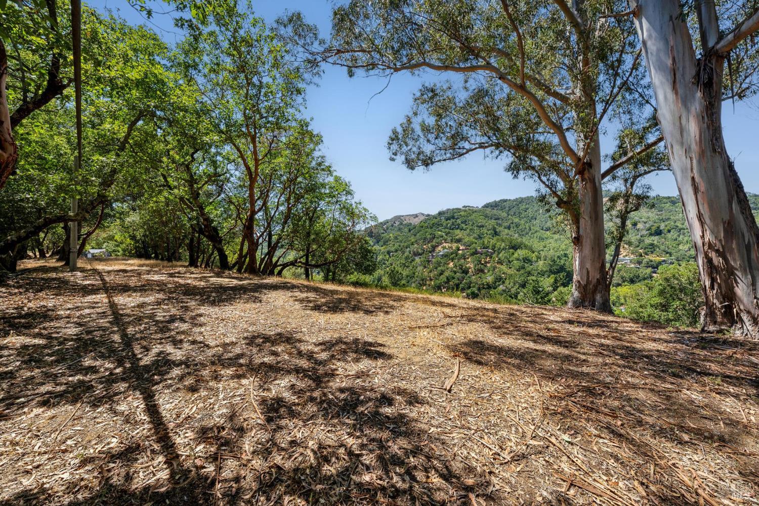 10 Fawn Ridge Fairfax CA 94930