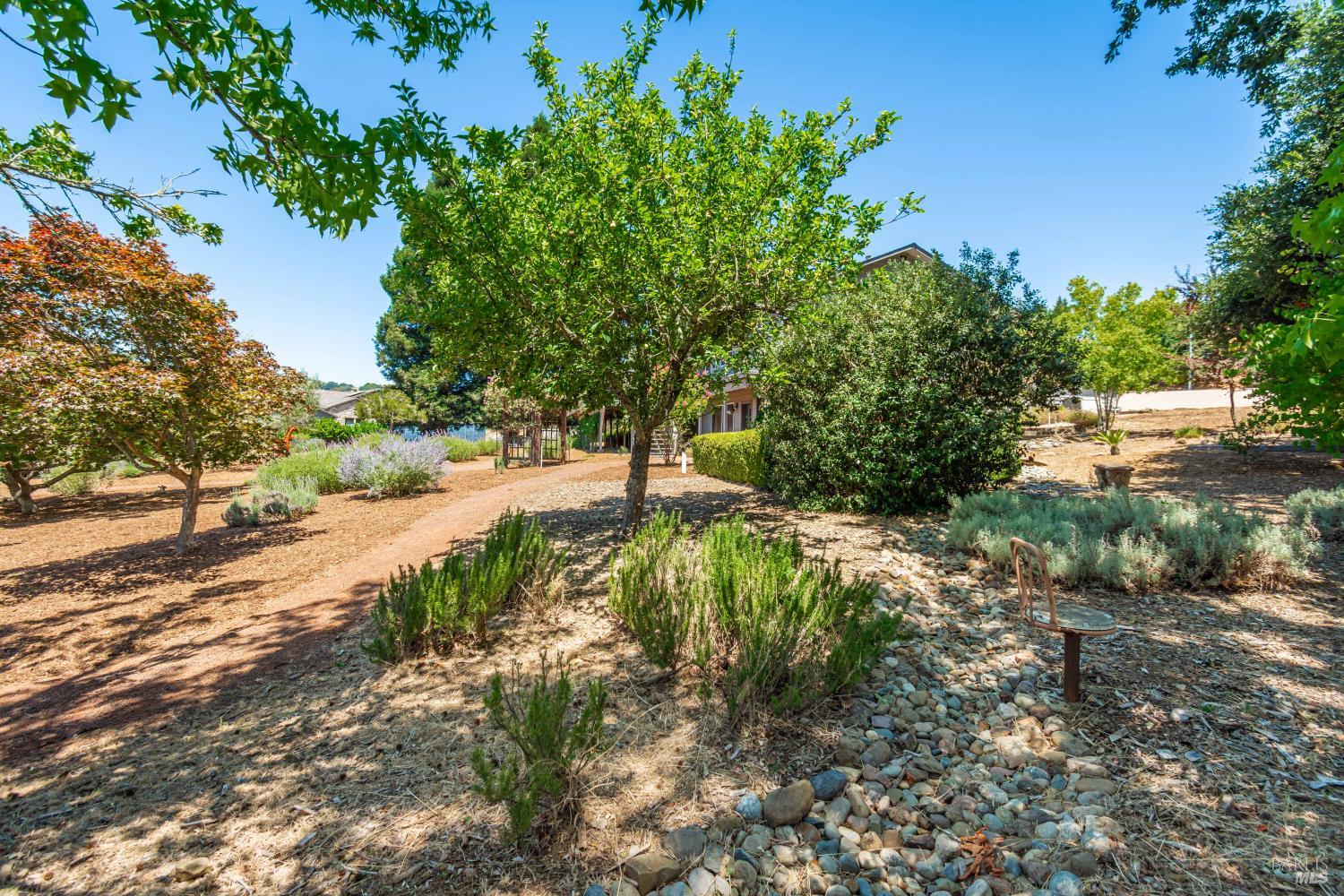 1133 Stanford Court Napa CA 94558
