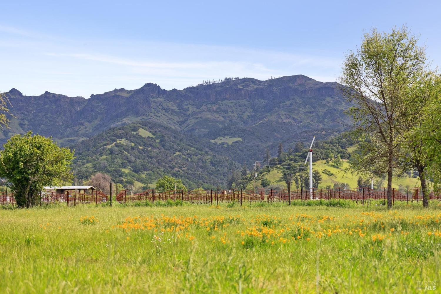 3048 Myrtledale Road Calistoga CA 94515