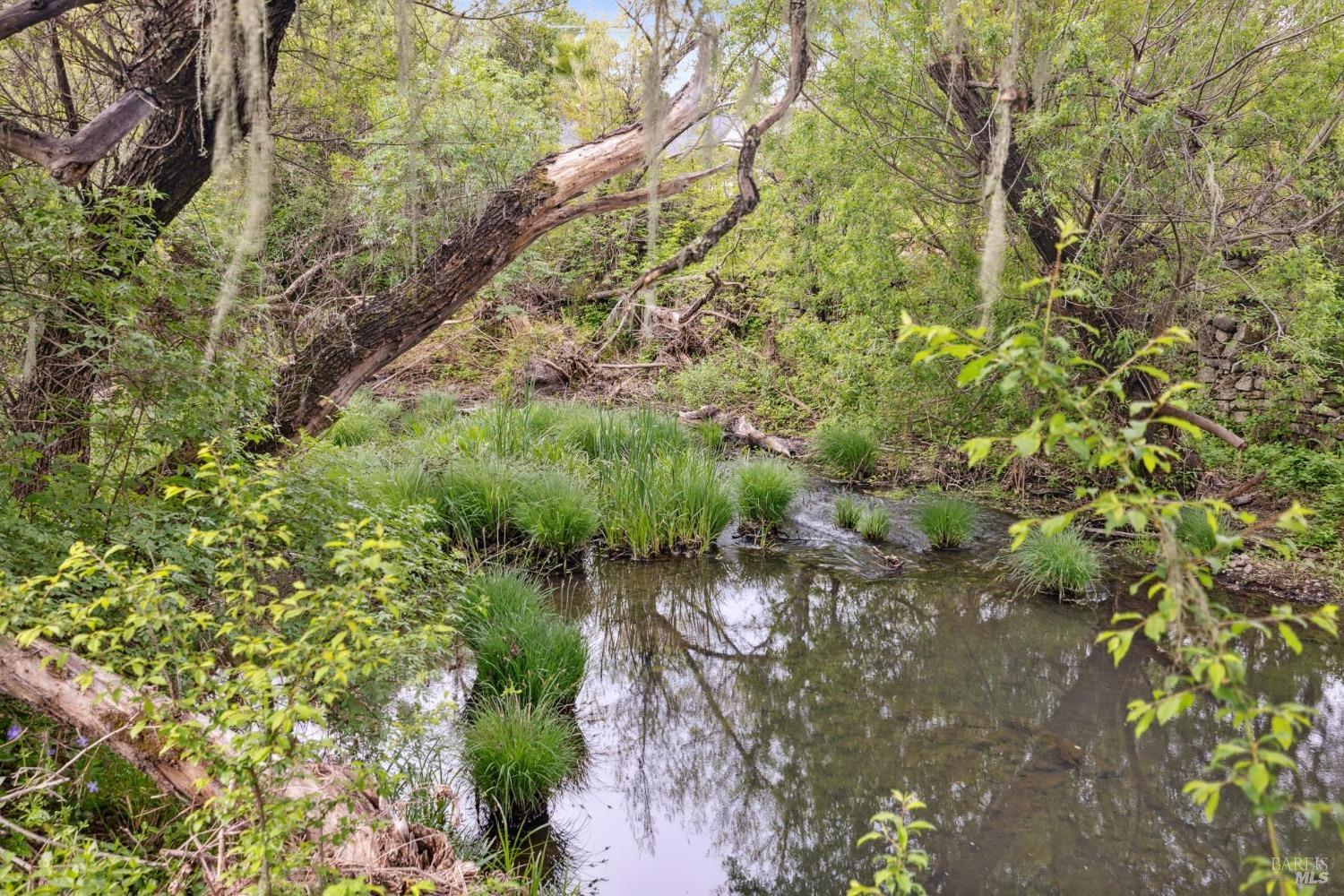 3048 Myrtledale Road Calistoga CA 94515