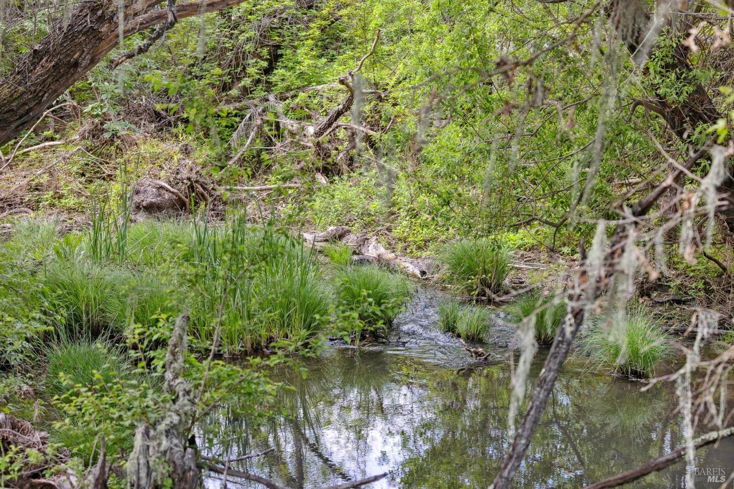 3048 Myrtledale Road Calistoga CA 94515