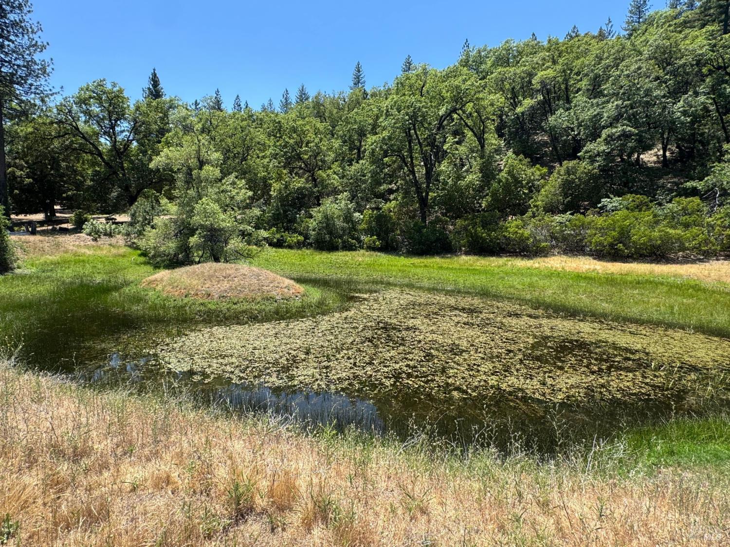 47601 Bentley Ridge Covelo CA 95428