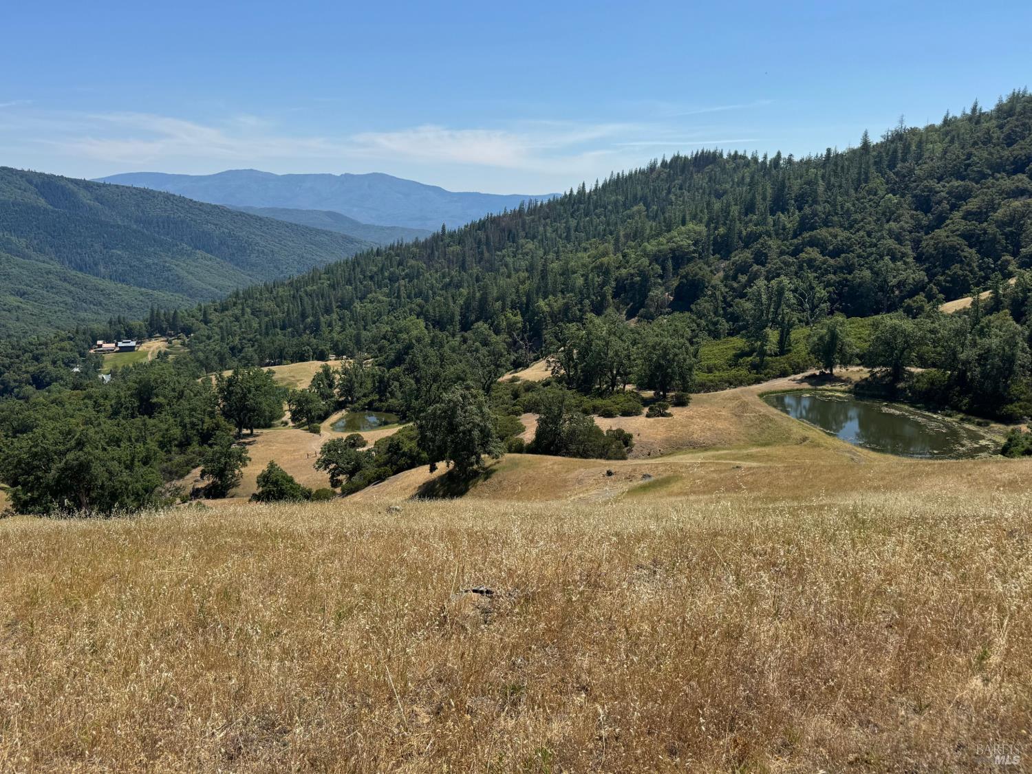 47601 Bentley Ridge Covelo CA 95428