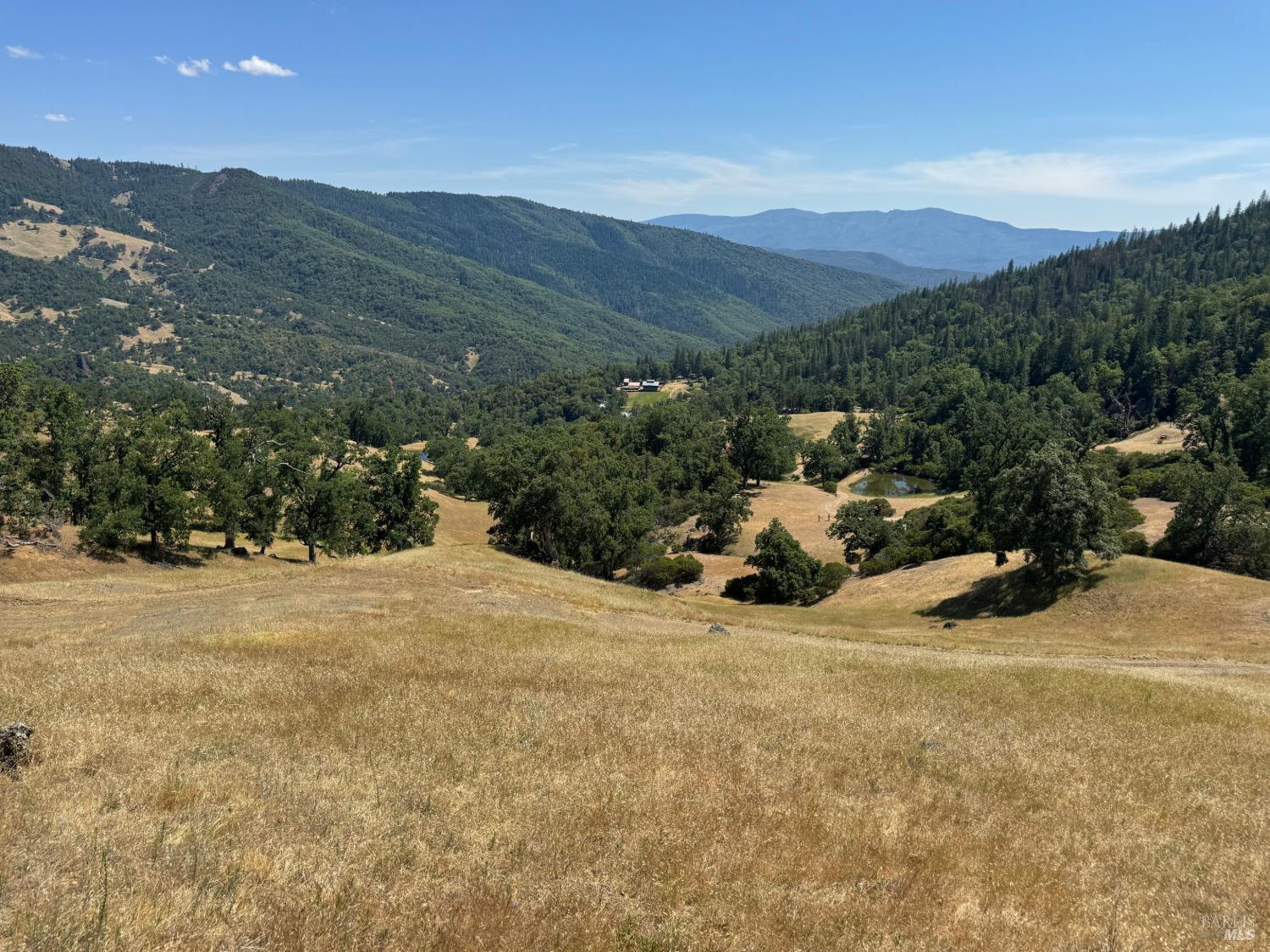 47601 Bentley Ridge Covelo CA 95428
