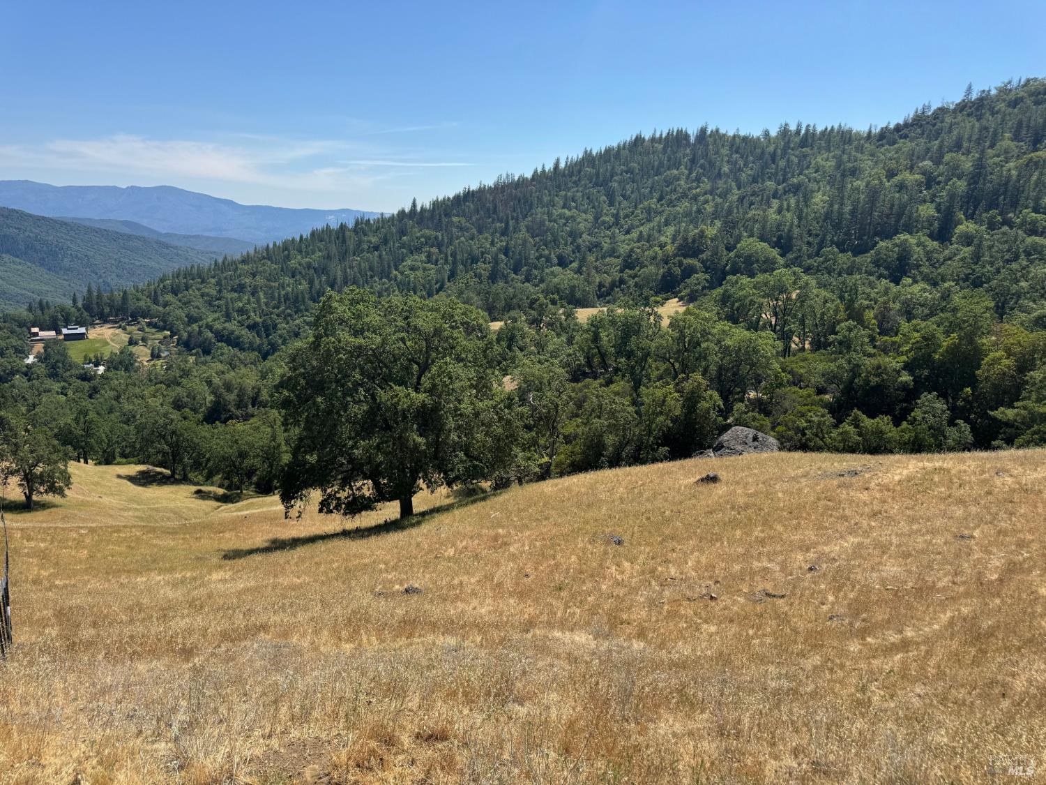 47601 Bentley Ridge Covelo CA 95428