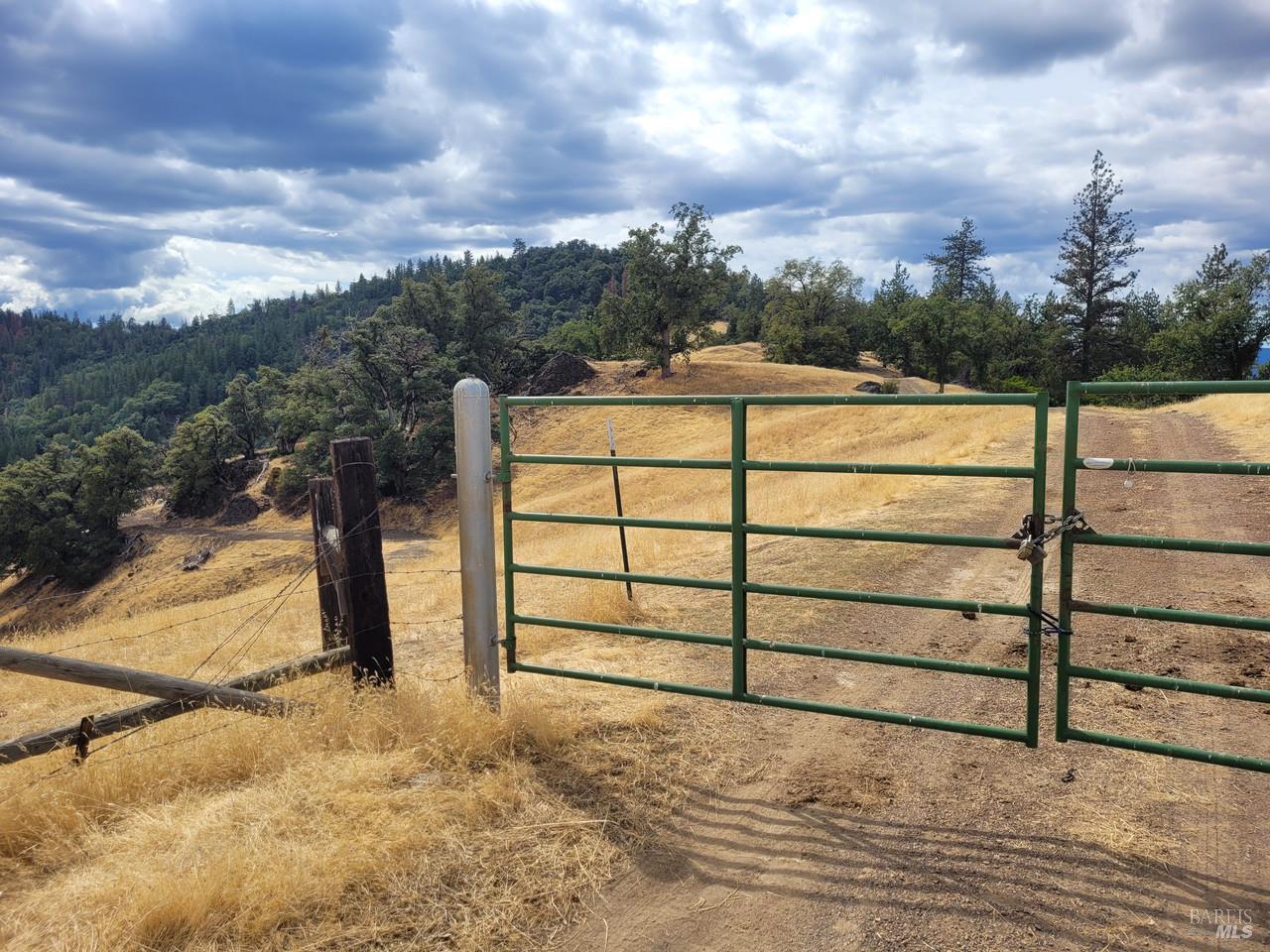 47601 Bentley Ridge Covelo CA 95428