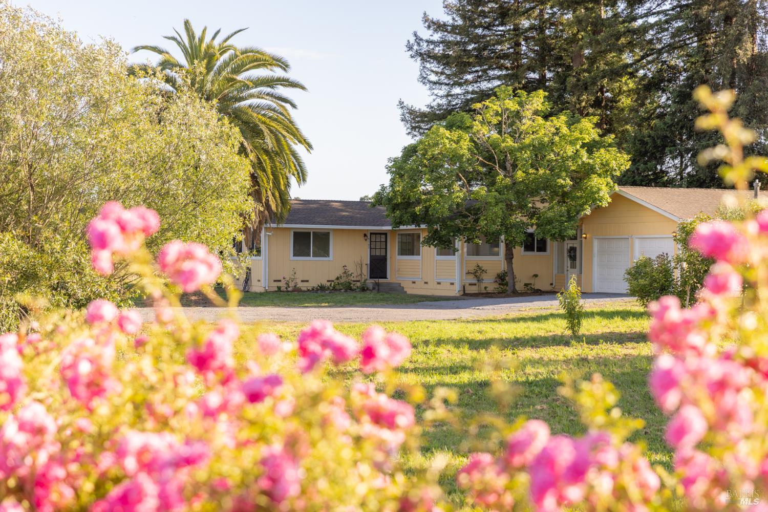 5163 Todd Road Sebastopol CA 95472