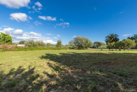 5163 Todd Road Sebastopol CA 95472