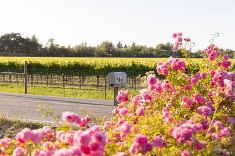 5163 Todd Road Sebastopol CA 95472