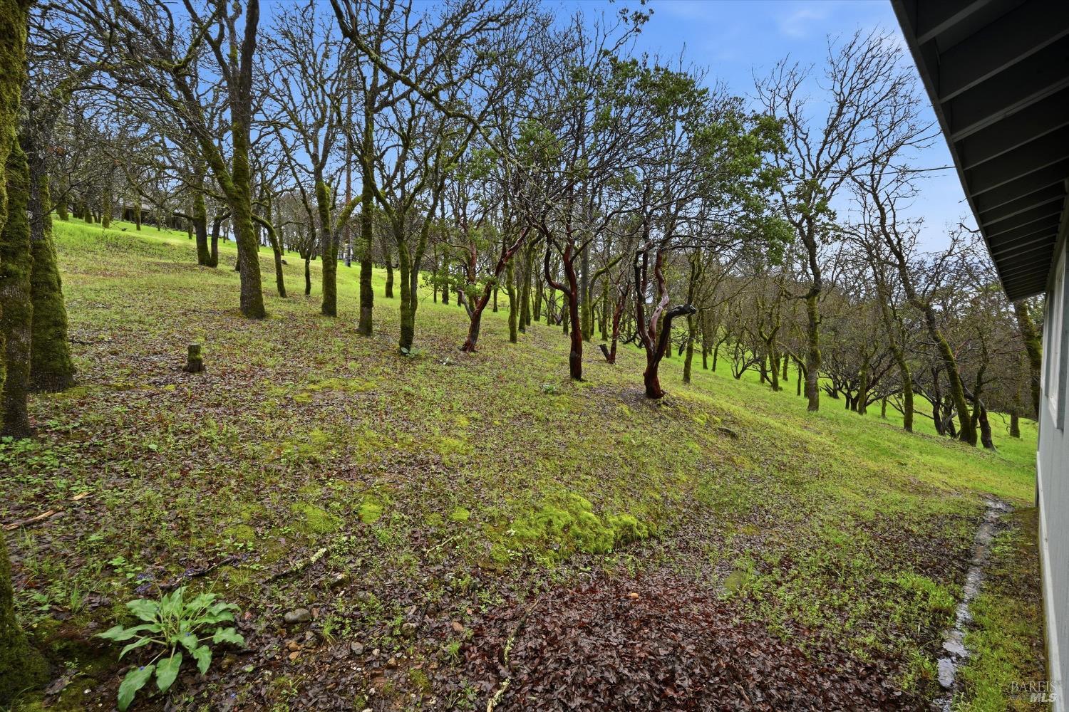 19474 Donkey Hill Road Hidden Valley Lake CA 95467