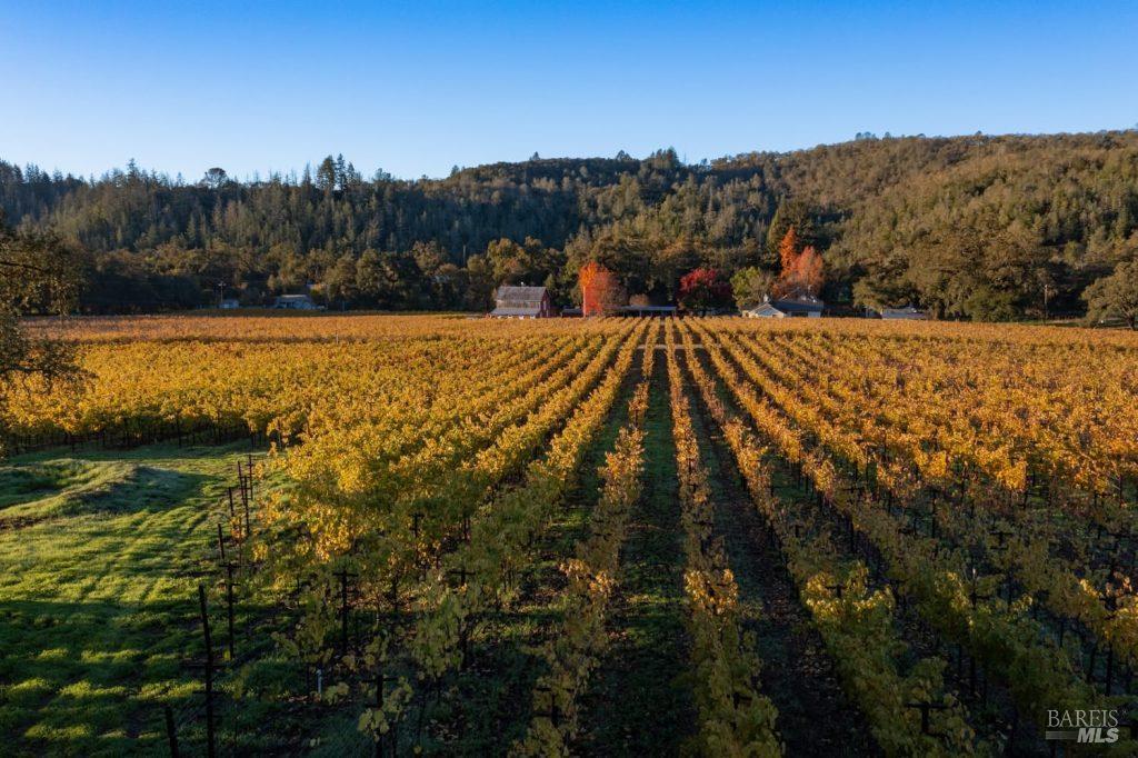 970-960 Conn Valley Road St. Helena CA 94574