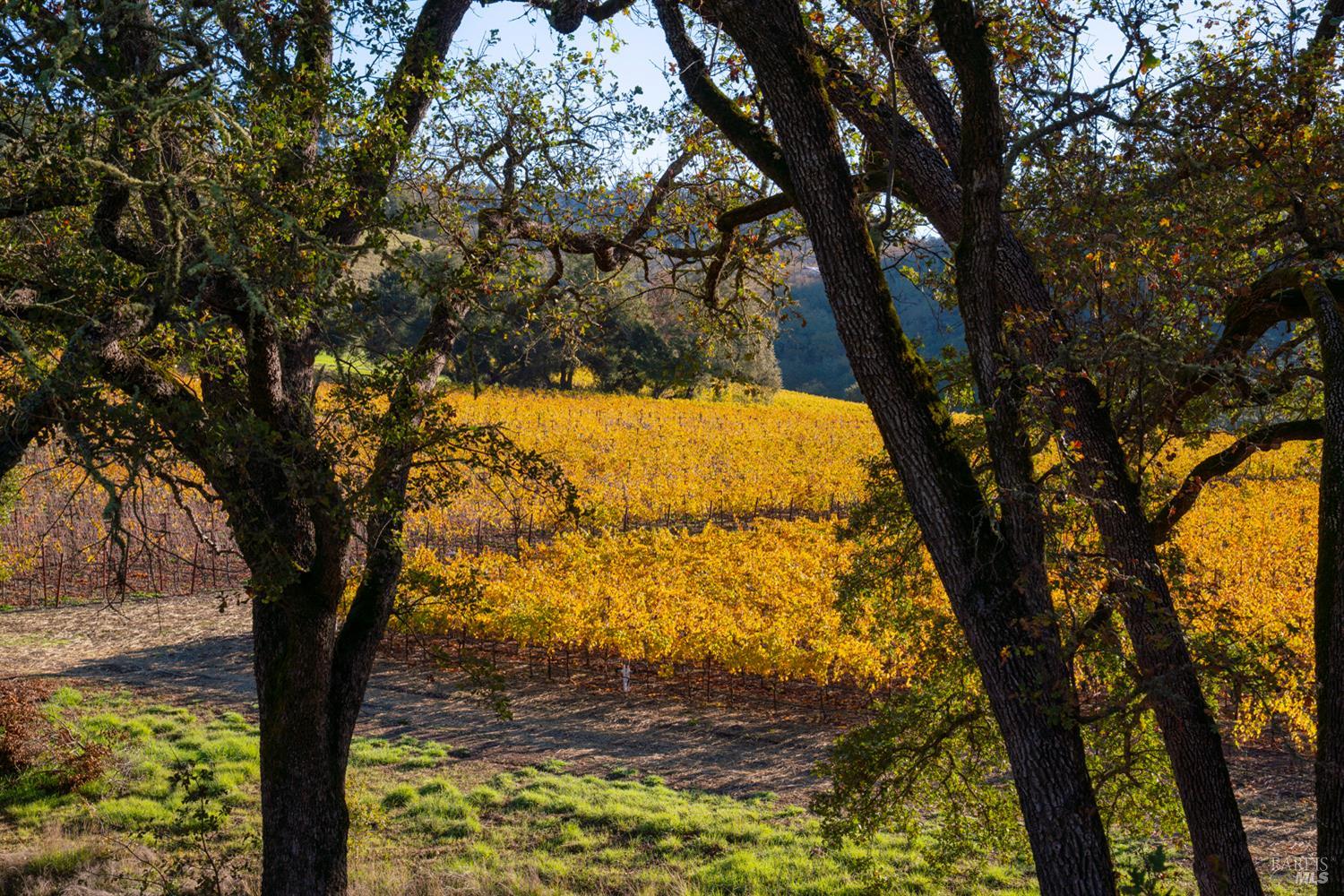 970-960 Conn Valley Road St. Helena CA 94574