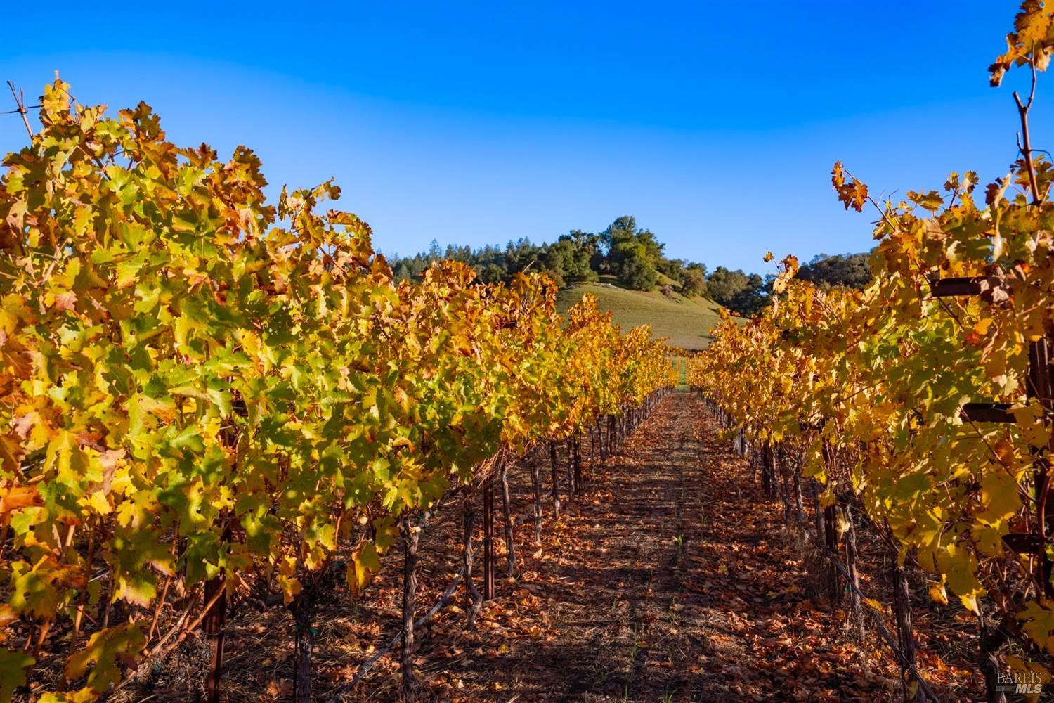 970-960 Conn Valley Road St. Helena CA 94574