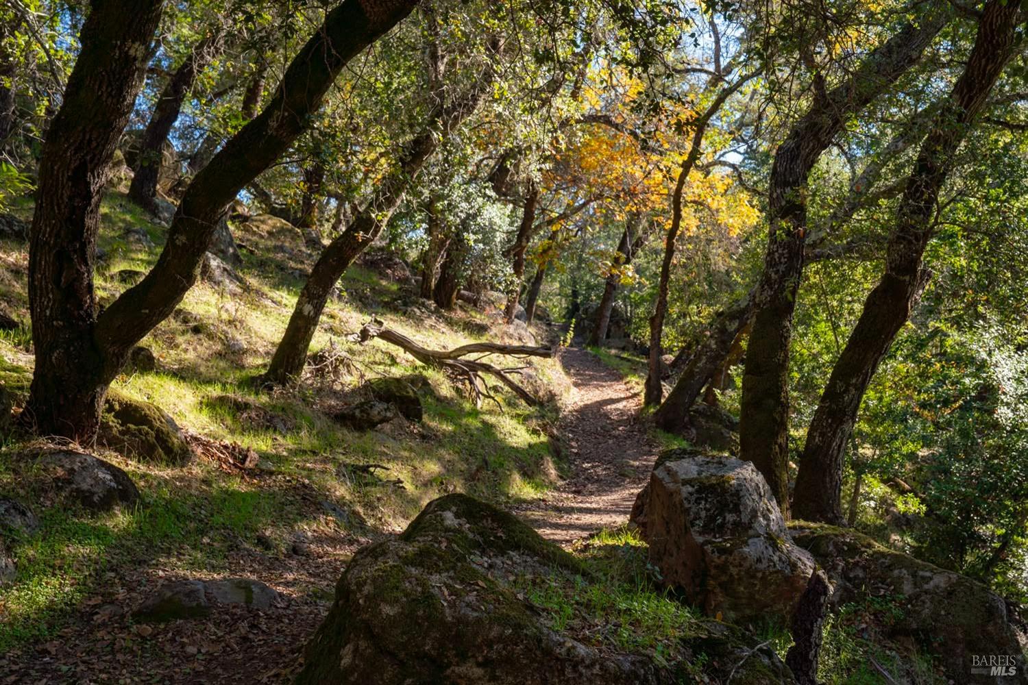 970-960 Conn Valley Road St. Helena CA 94574