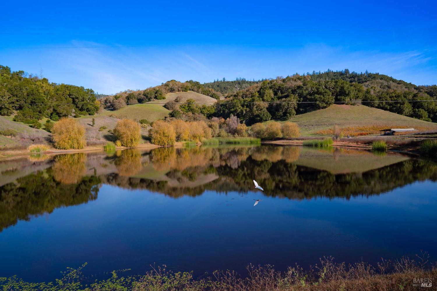 970-960 Conn Valley Road St. Helena CA 94574