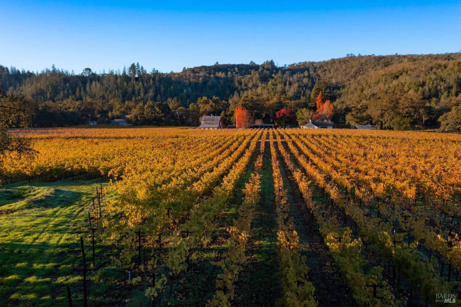 970-960 Conn Valley Road St. Helena CA 94574