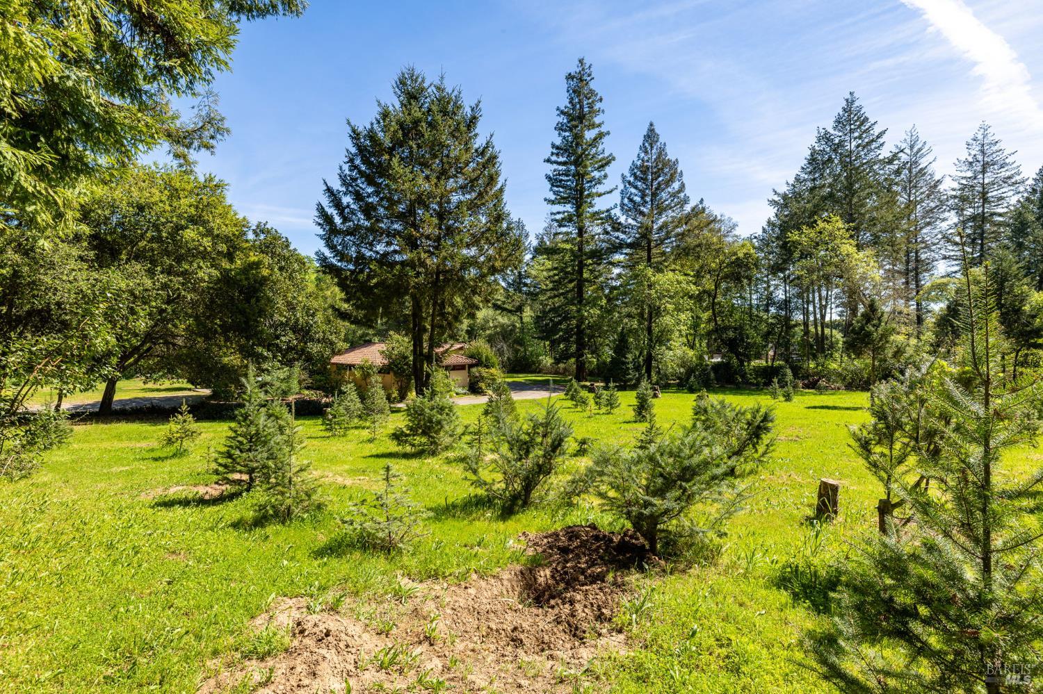 3320 Redwood Road Napa CA 94558