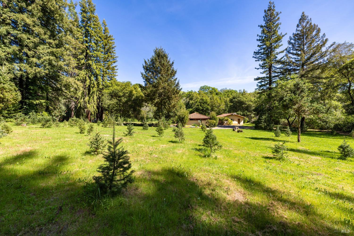 3320 Redwood Road Napa CA 94558