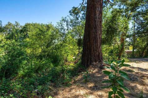 2755 Dyer Avenue Sebastopol CA 95472