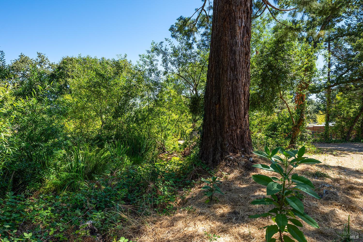 2755 Dyer Avenue Sebastopol CA 95472