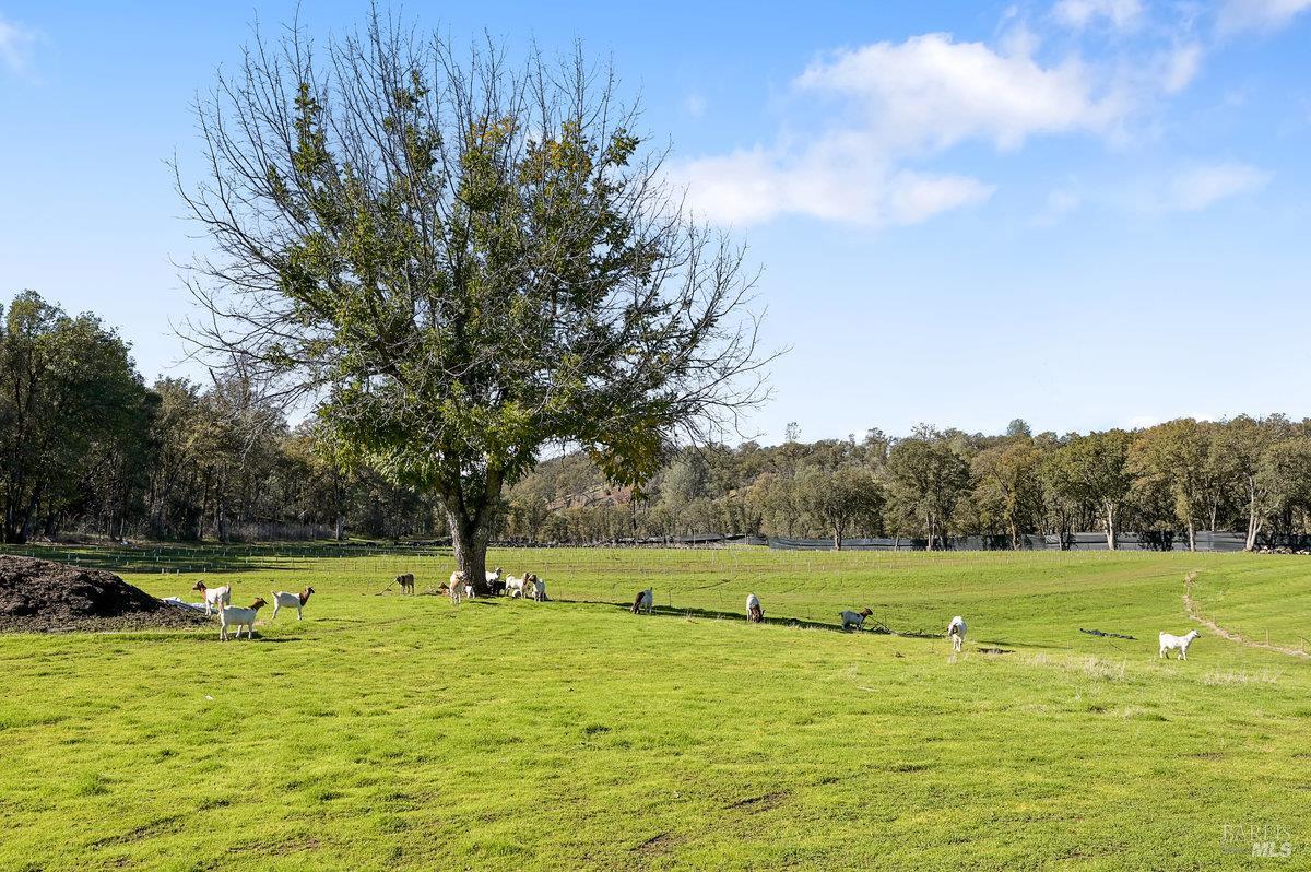 2050 Ogulin Canyon Road Clearlake CA 95422