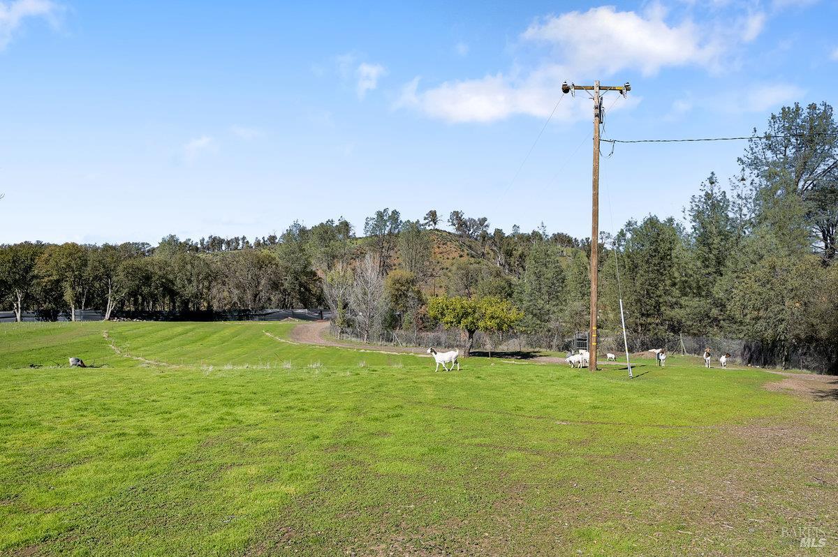 2050 Ogulin Canyon Road Clearlake CA 95422