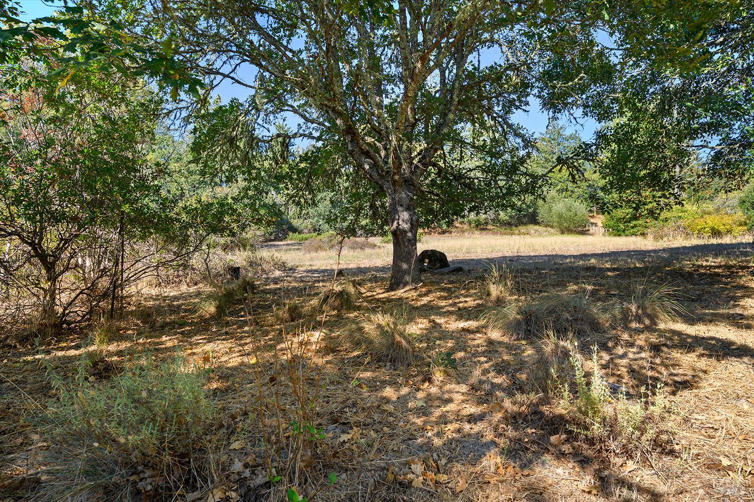 Sebastopol CA 95472