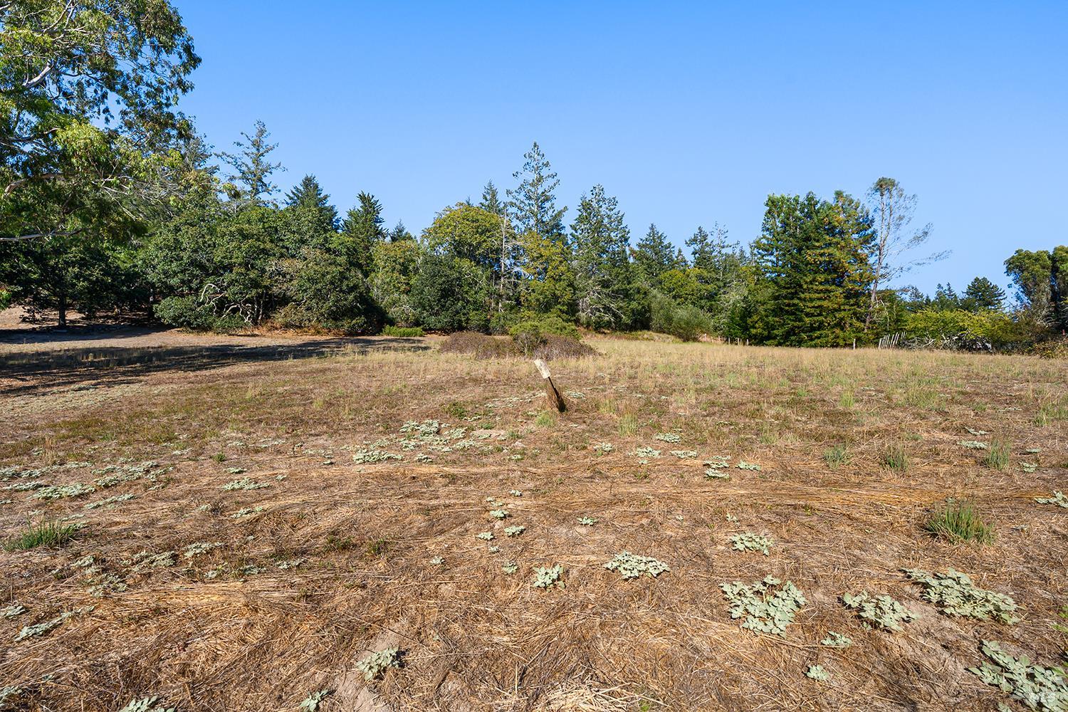 Sebastopol CA 95472