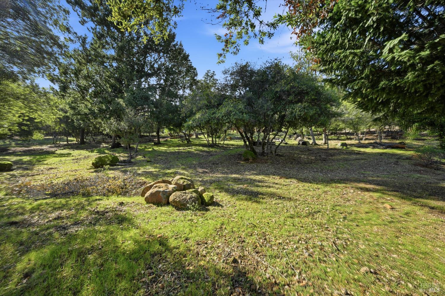 3469 Greenwood Drive Kelseyville CA 95451