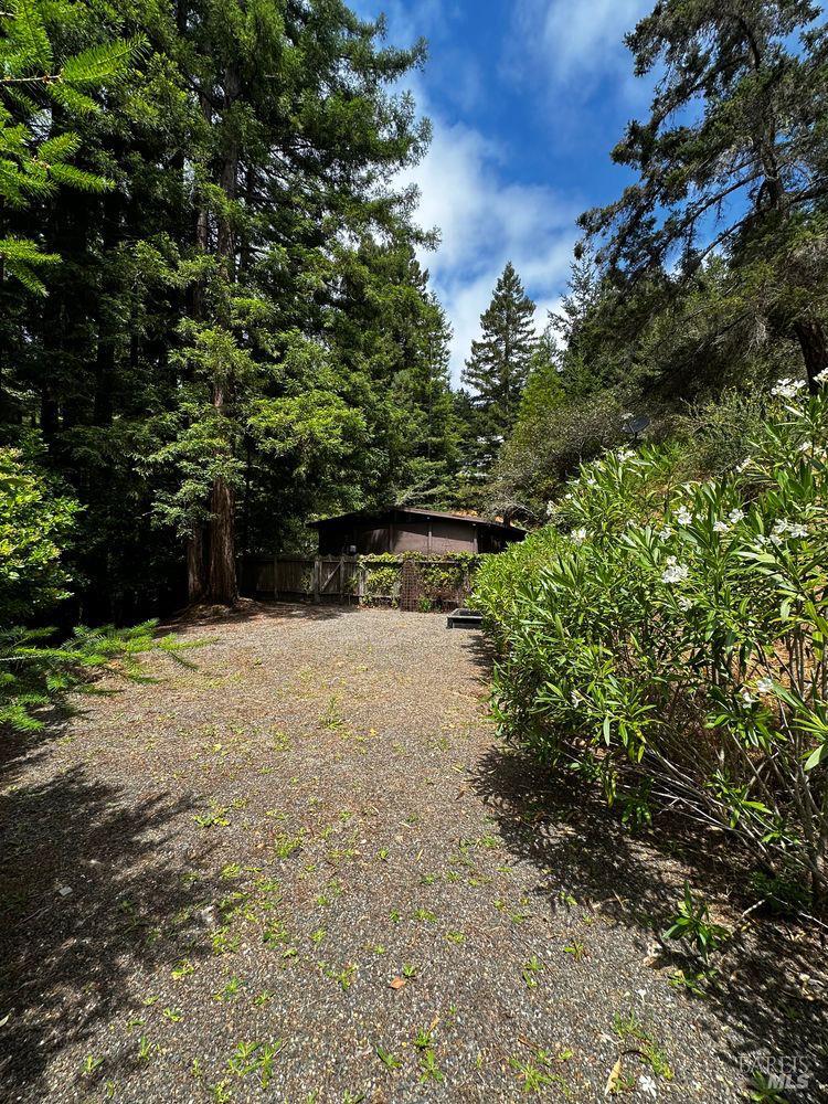 974 Lovell Avenue Mill Valley CA 94941