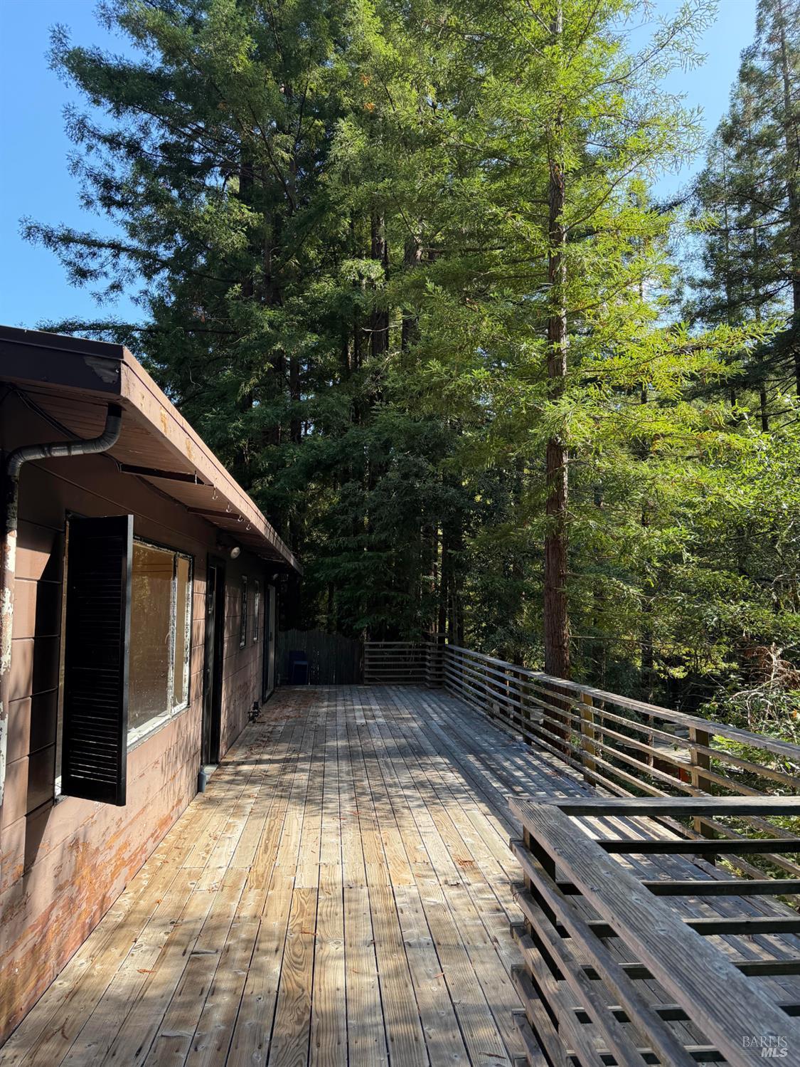 974 Lovell Avenue Mill Valley CA 94941