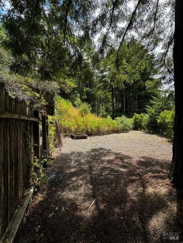 974 Lovell Avenue Mill Valley CA 94941