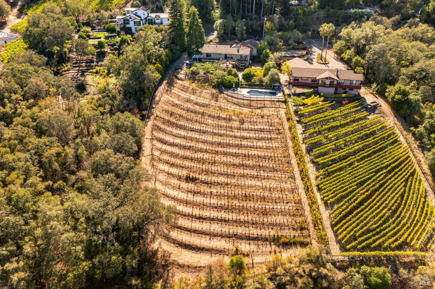 1291 Rockland Drive St. Helena CA 94574