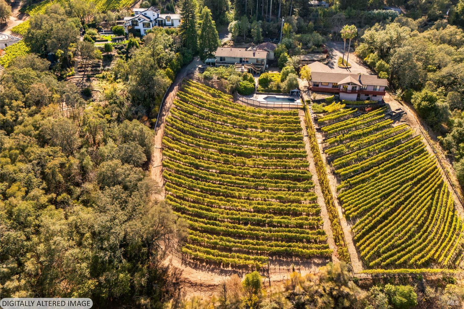 1291 Rockland Drive St. Helena CA 94574