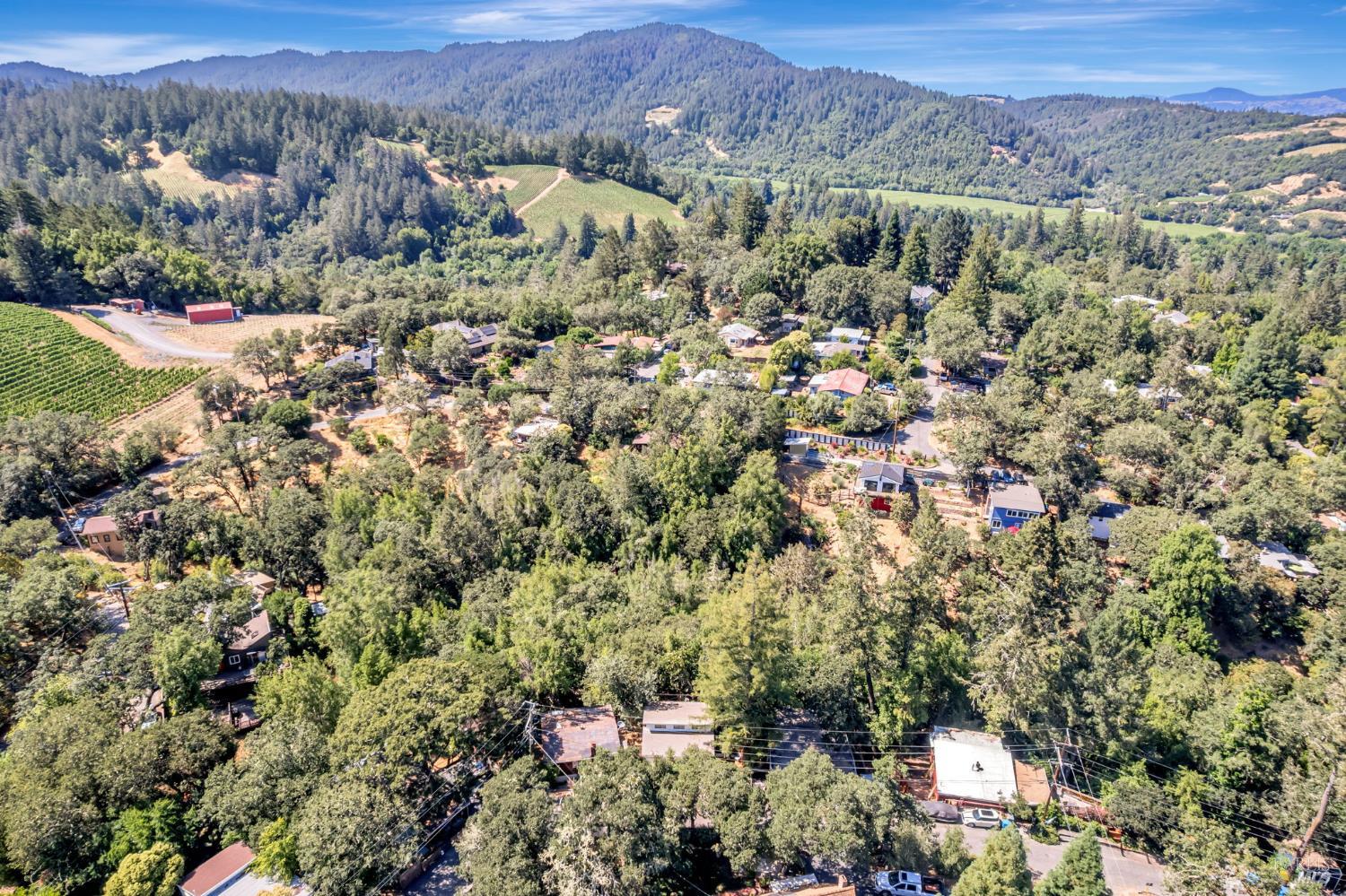 240 Vila Road Forestville CA 95436
