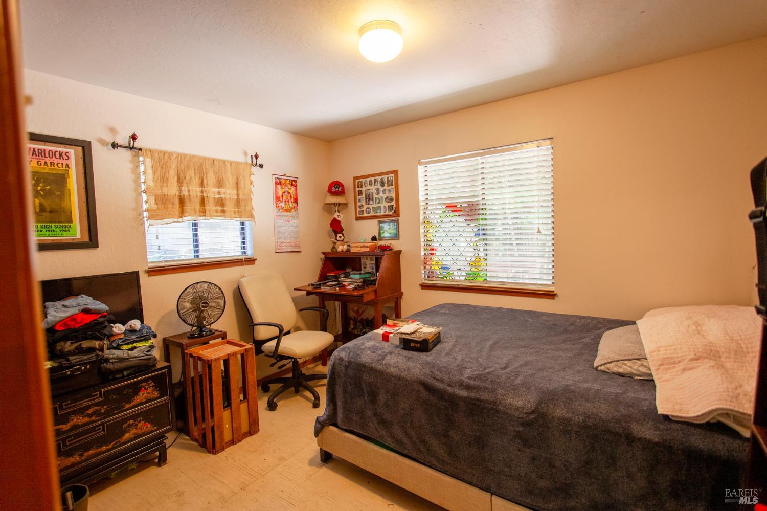 25071 Goose Lane Willits CA 95490