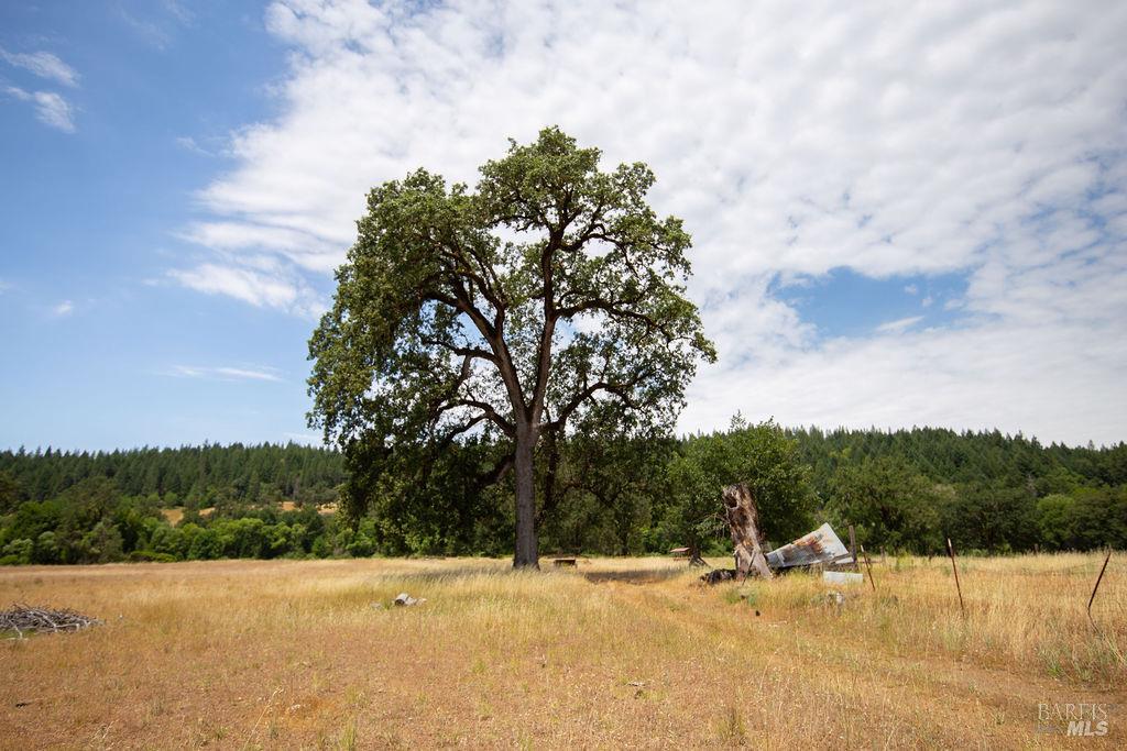 48600 Highway 101 Highway Laytonville CA 95454