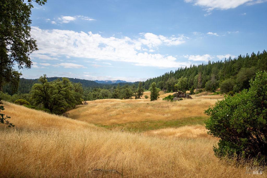 48600 Highway 101 Highway Laytonville CA 95454