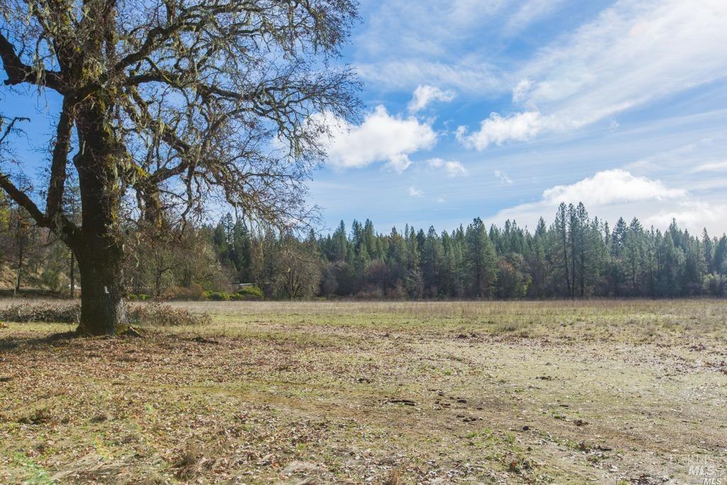 48600 Highway 101 Highway Laytonville CA 95454