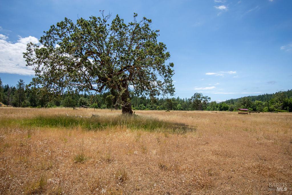 48600 Highway 101 Highway Laytonville CA 95454