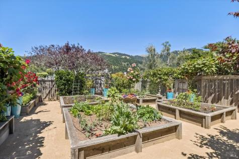 172 Seadrift Road Stinson Beach CA 94970