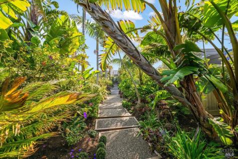 172 Seadrift Road Stinson Beach CA 94970