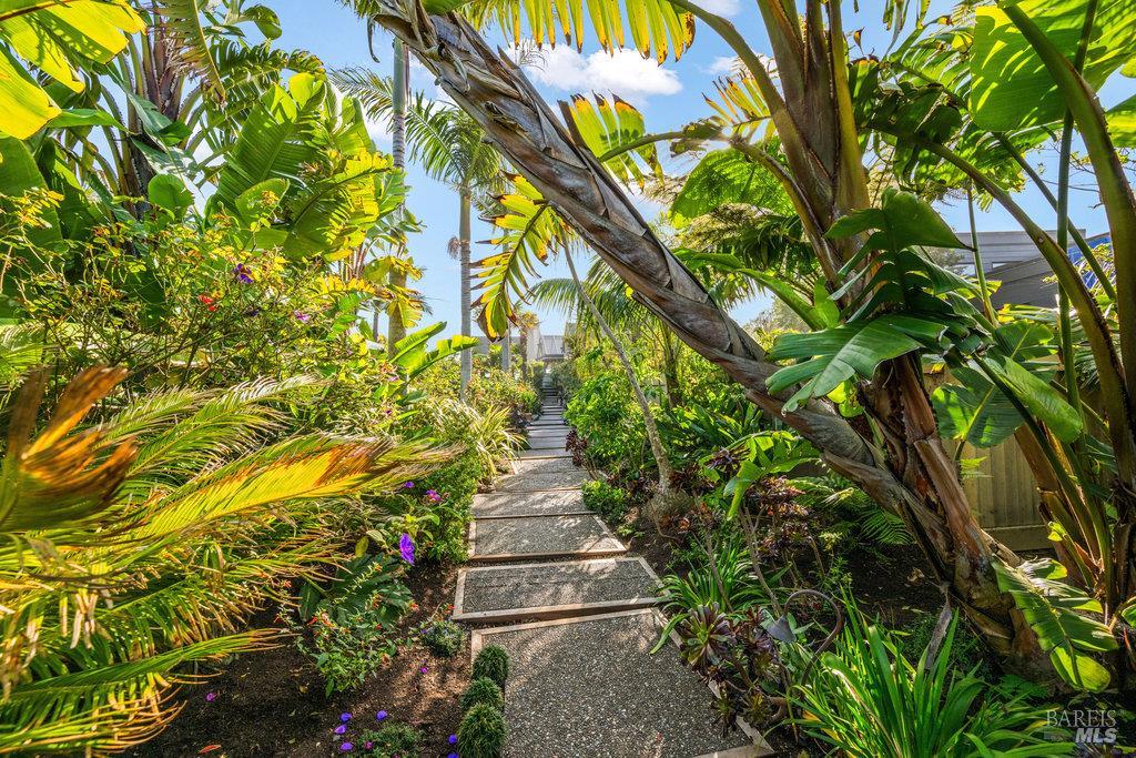 172 Seadrift Road Stinson Beach CA 94970