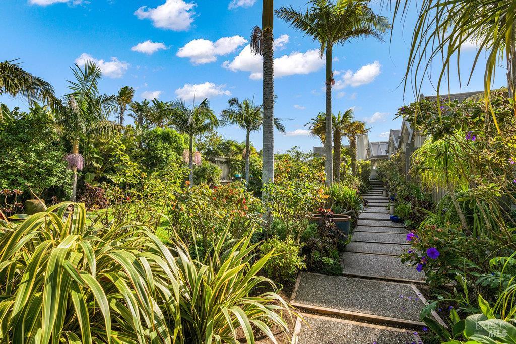 172 Seadrift Road Stinson Beach CA 94970