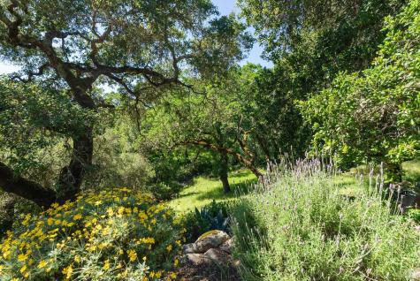 1835 San Ramon Way Santa Rosa CA 95409