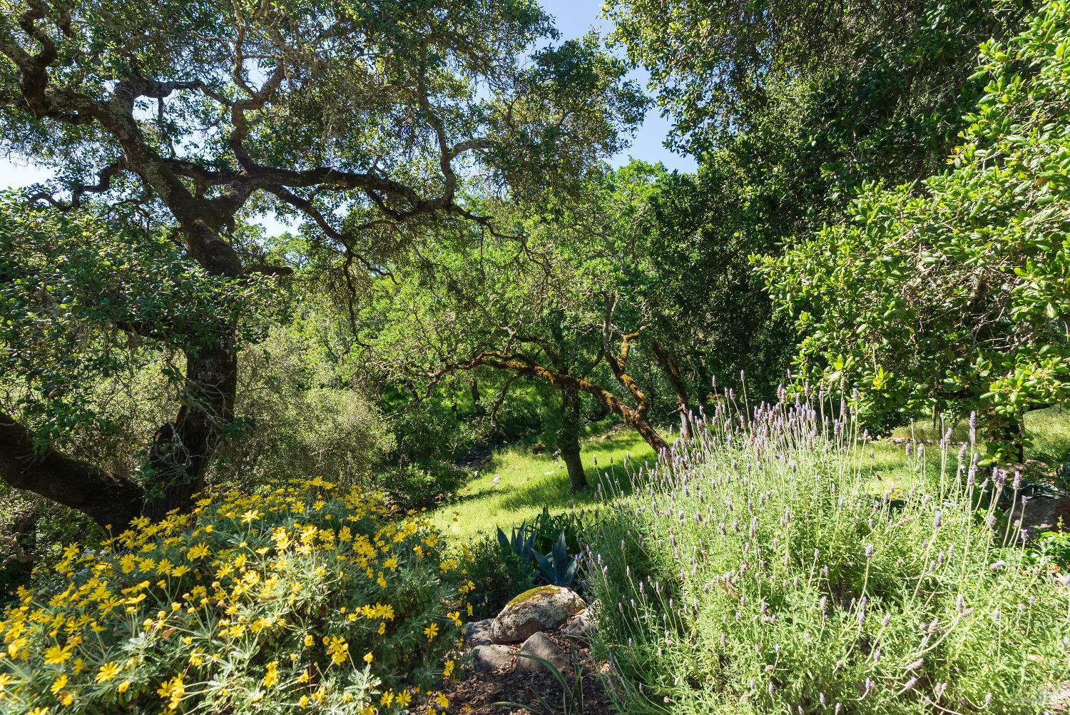 1835 San Ramon Way Santa Rosa CA 95409