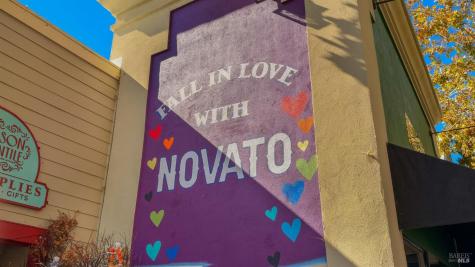 728 Eucalyptus Avenue Novato CA 94947