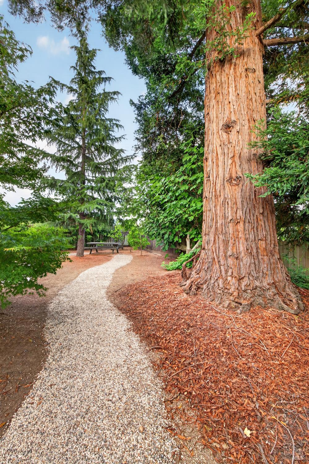 1170 Mountain View Avenue St. Helena CA 94574