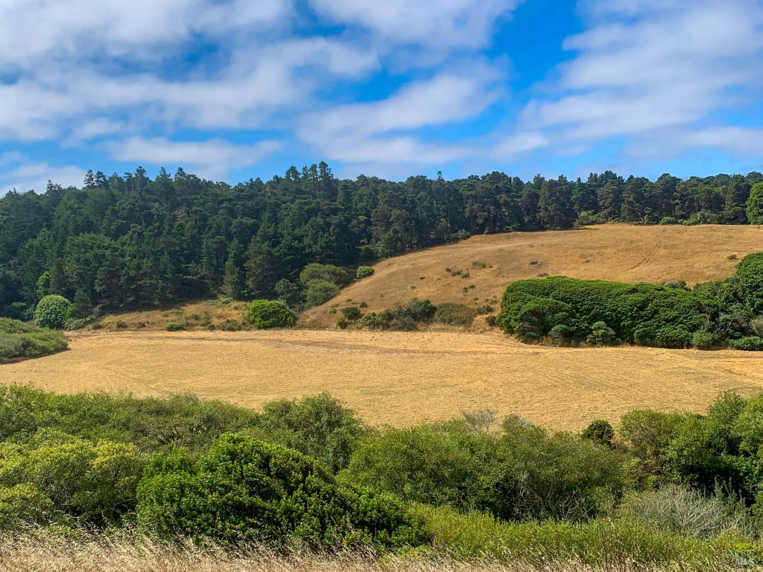43500 Crispin Road Manchester CA 95459